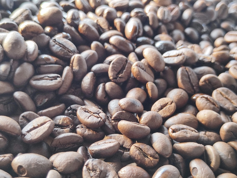 Berbagai jenis biji kopi sangrai dengan warna dan ukuran yang berbeda